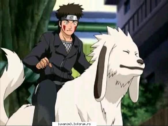 Kiba - ...:::LoOov'3 Pill:::... - ~Naruto Shippuden~