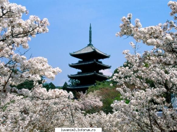 Poze Cu Japan ;x - ...:::LoOov'3 Pill:::... - Kyaaa!!Japoniaaa!