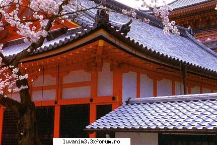 Poze Cu Japan ;x - KeykoYume - Kyaaa!!Japoniaaa!